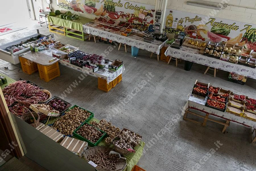 Azienda agricola in Vendita a Masate Azienda agricola in Vendita a Masate