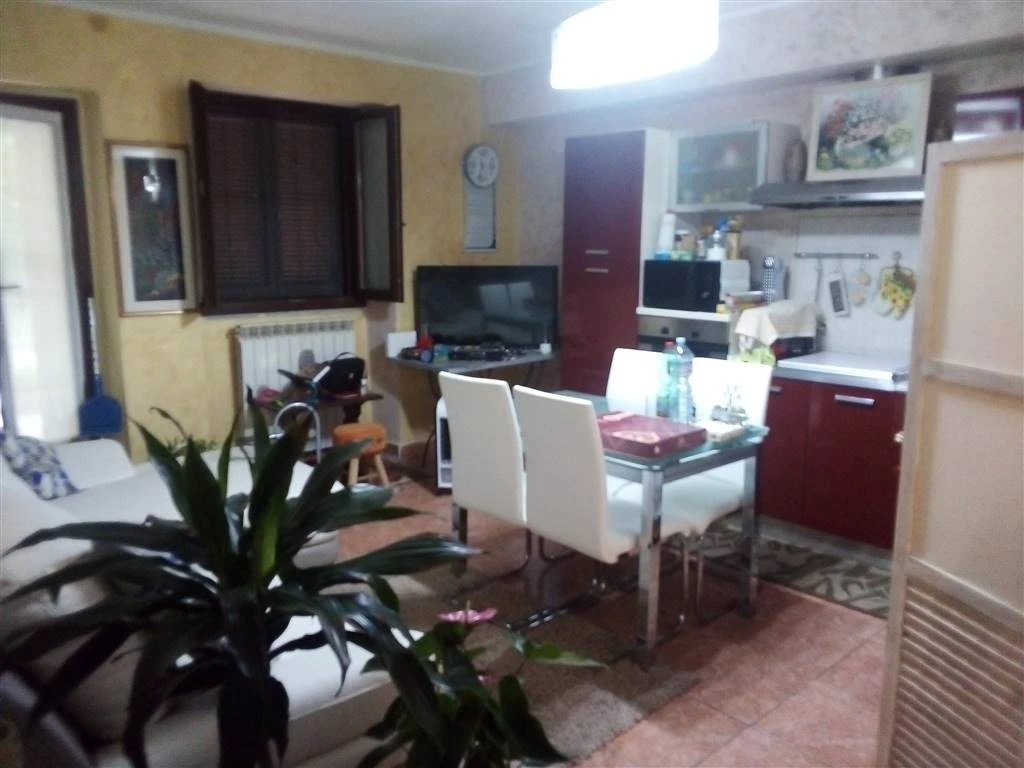 Ampio Bilocale con Area Esterna di Proprietà Ampio Bilocale con Area Esterna di Proprietà