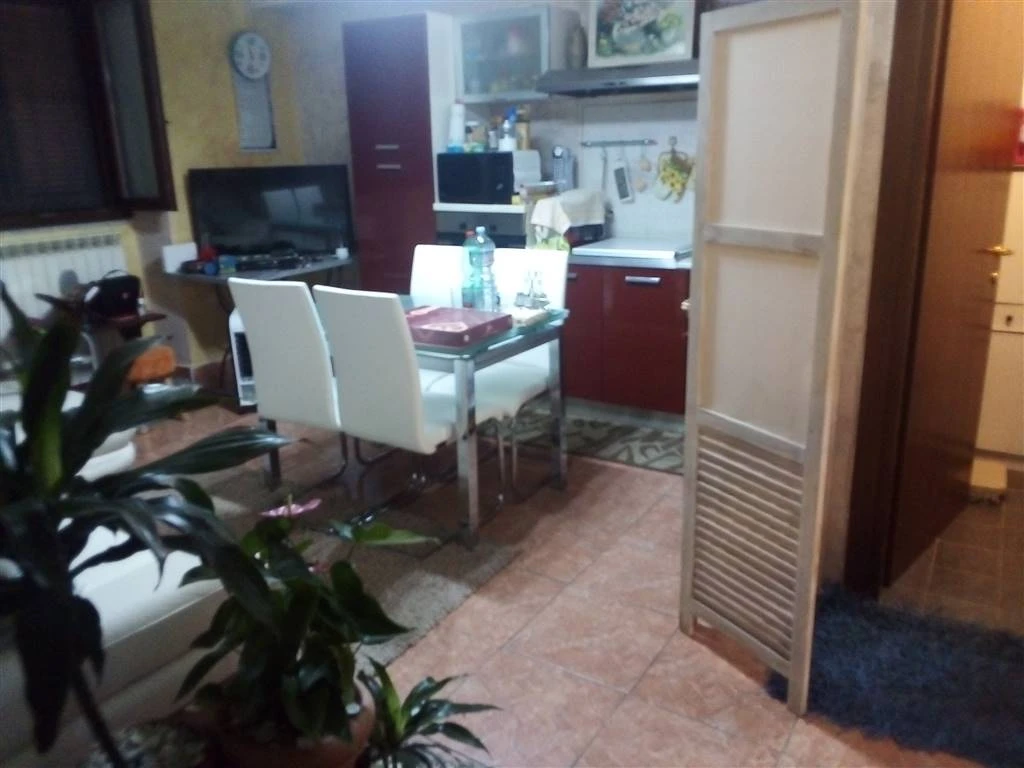 Ampio Bilocale con Area Esterna di Proprietà Ampio Bilocale con Area Esterna di Proprietà