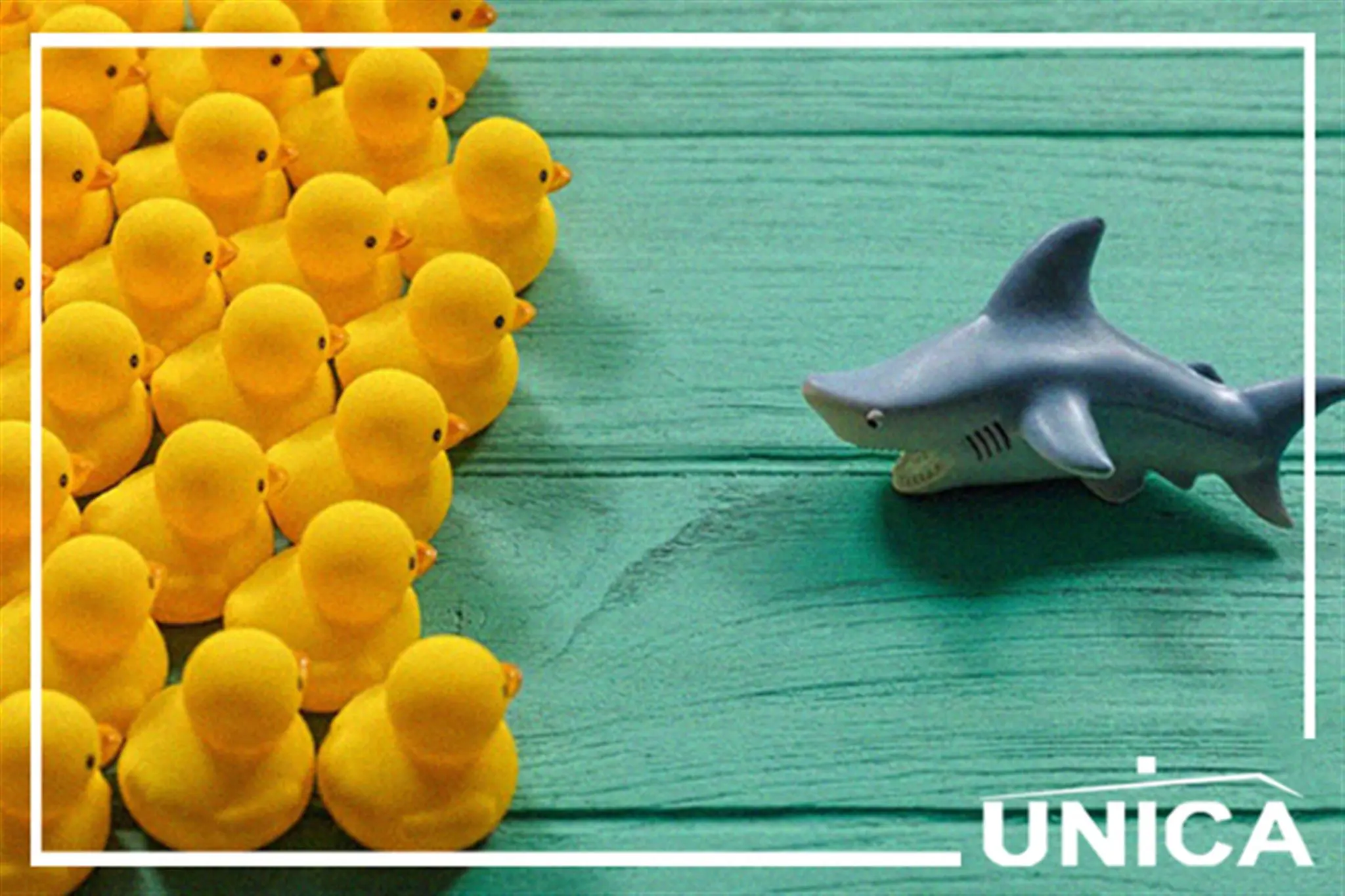 Unica - Servizi Immobiliari home page Unica - Servizi Immobiliari immagine hero