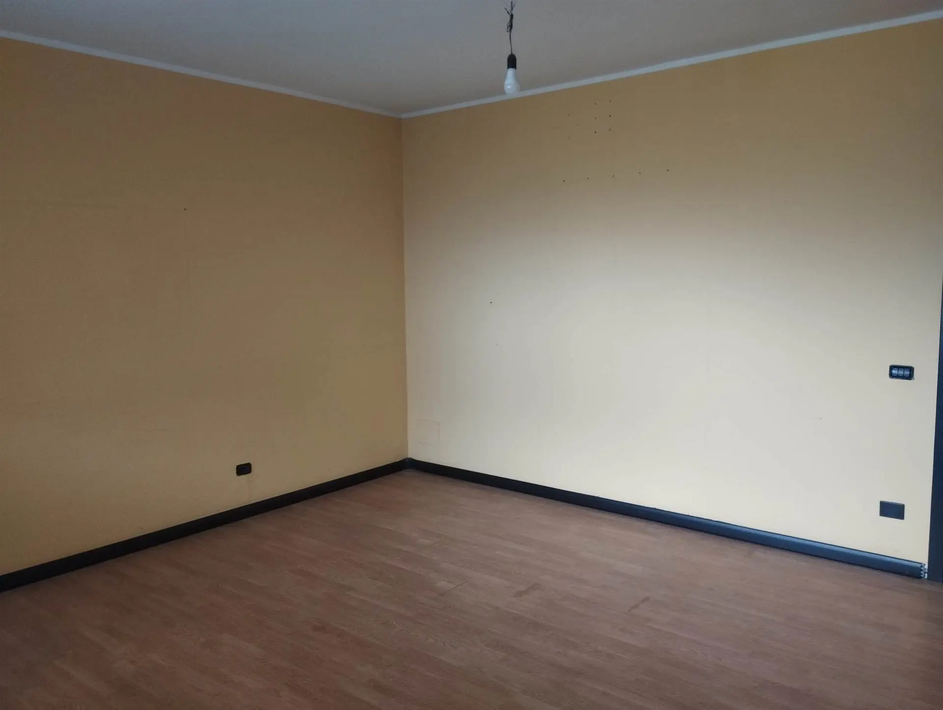 Ampio Studio/Ufficio con ingresso privato Ampio Studio/Ufficio con ingresso privato