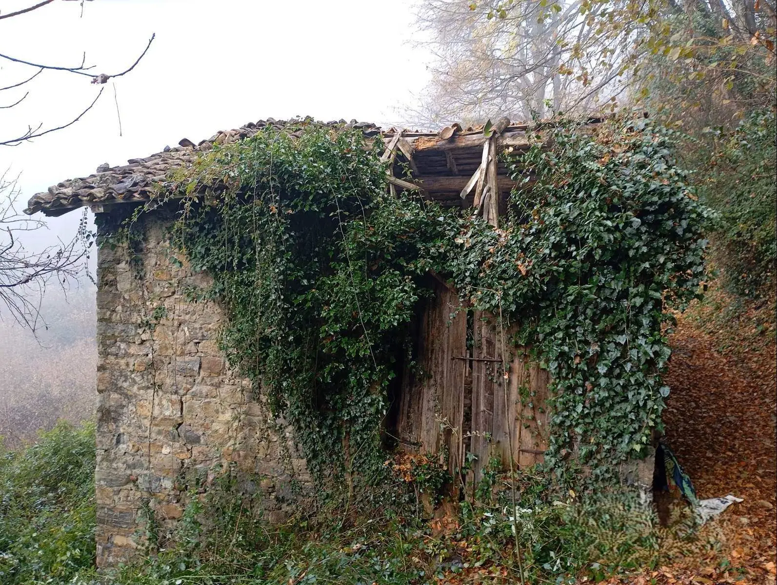 Rustico con Bosco Rustico con Bosco