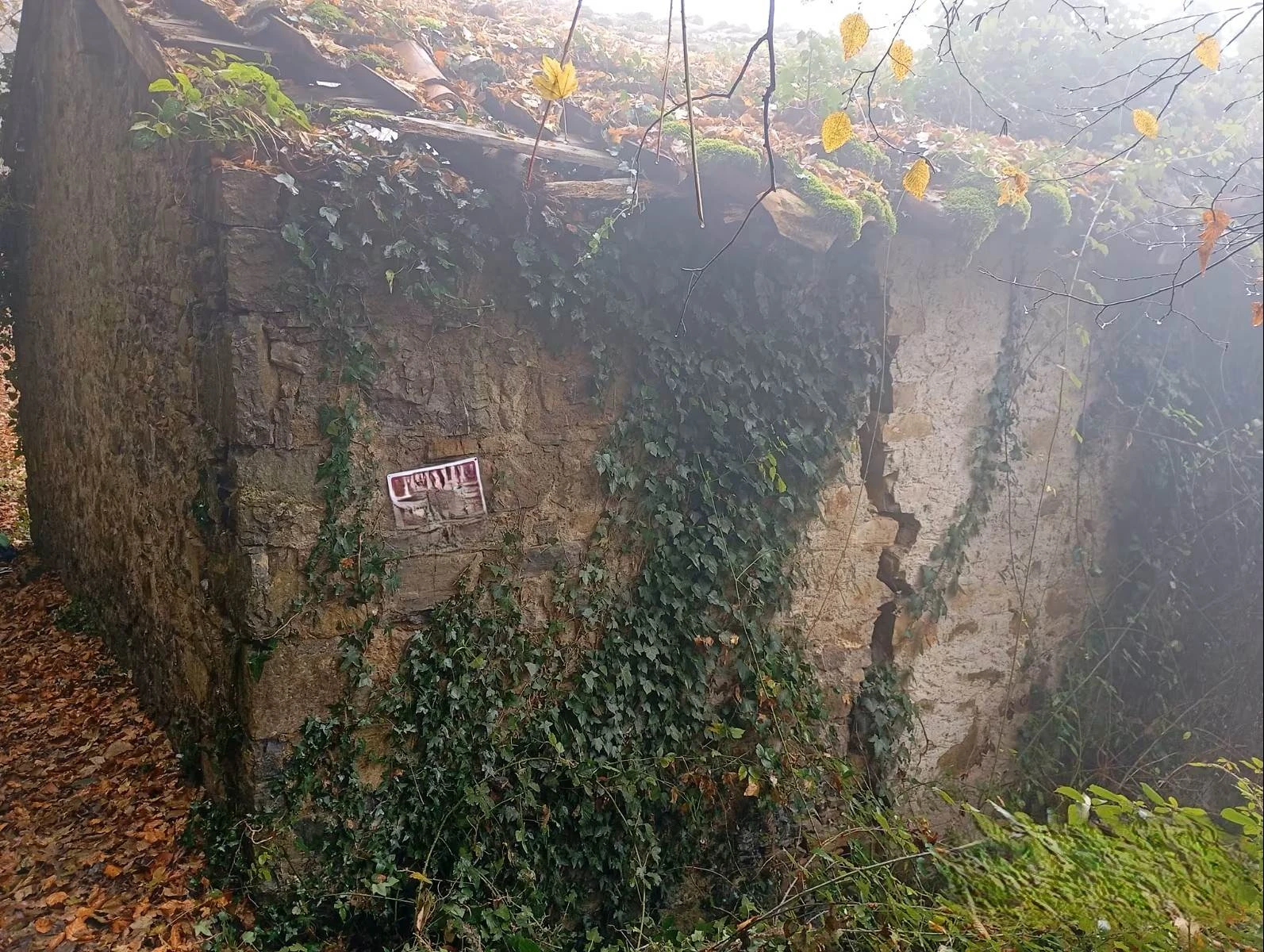 Rustico con Bosco Rustico con Bosco