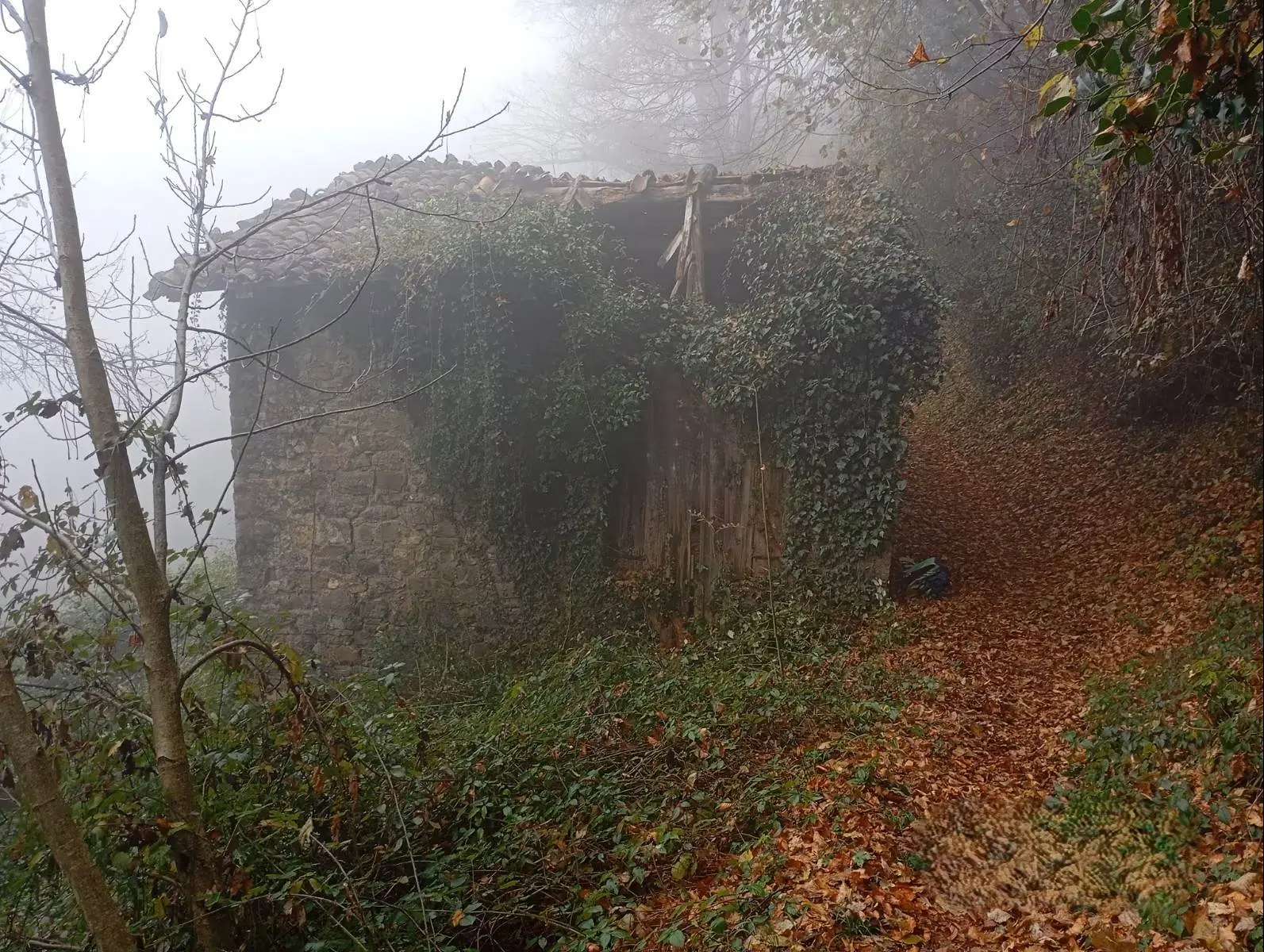 Rustico con Bosco Rustico con Bosco